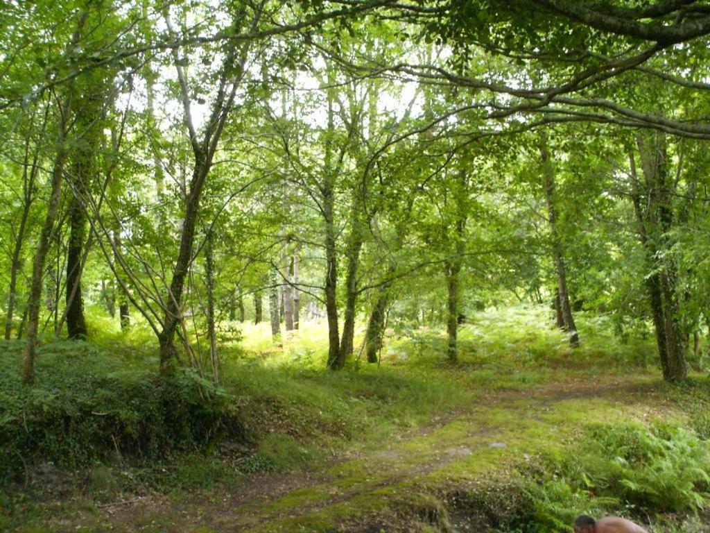 Chalet Camping Les Vignes Lit-et-Mixe Eksteriør bilde